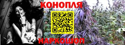 индика Коммунар