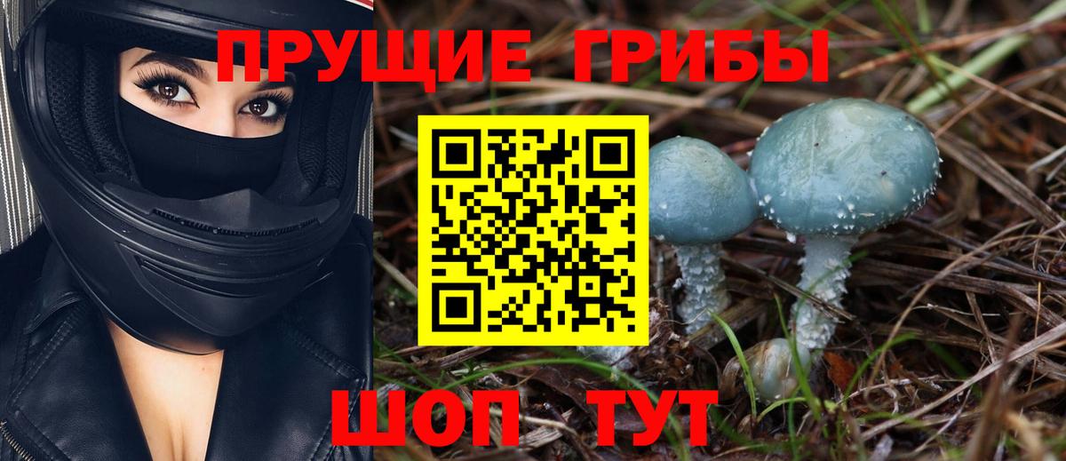 Псилоцибиновые грибы MAGIC MUSHROOMS Химки